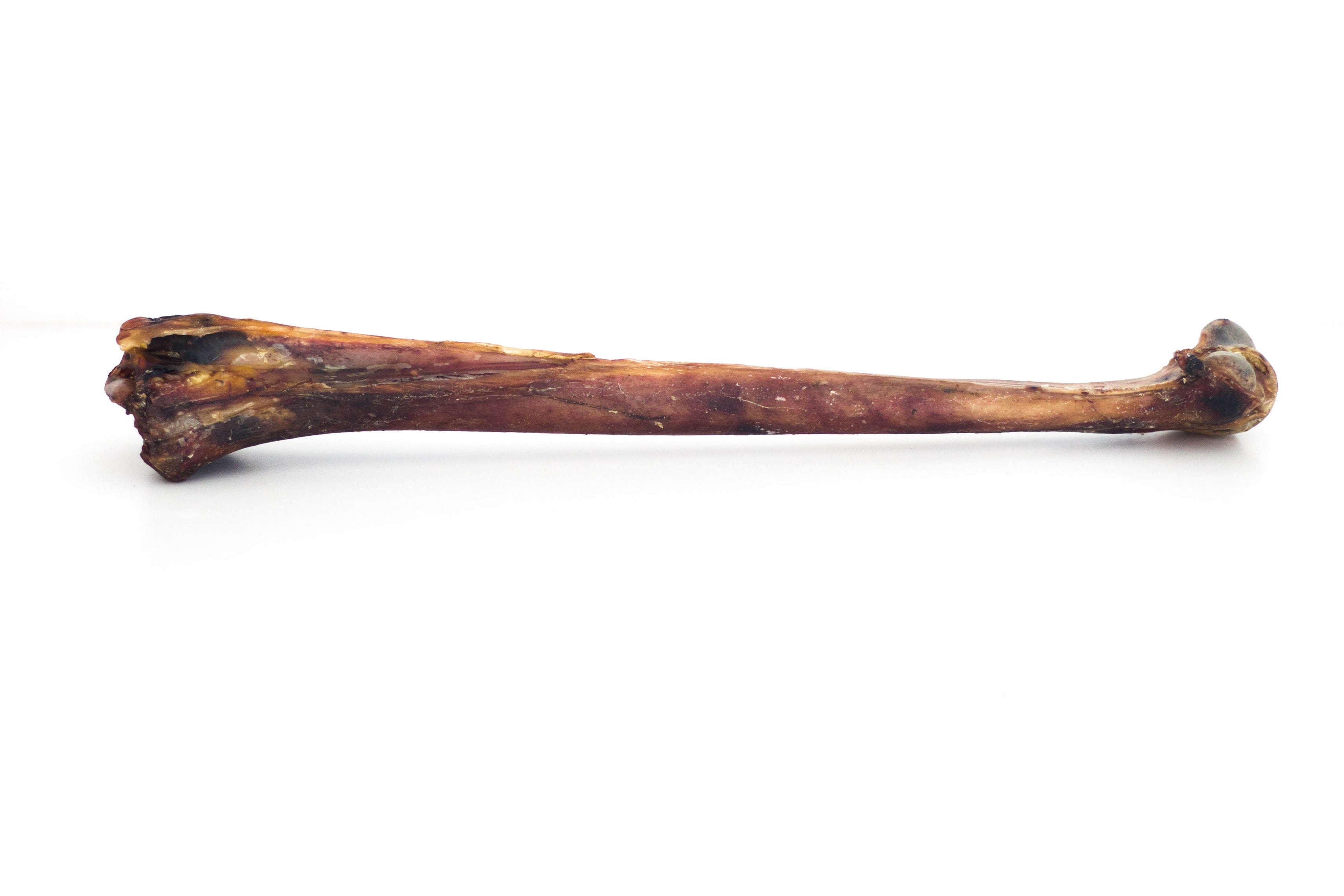 Mini Giant Bone