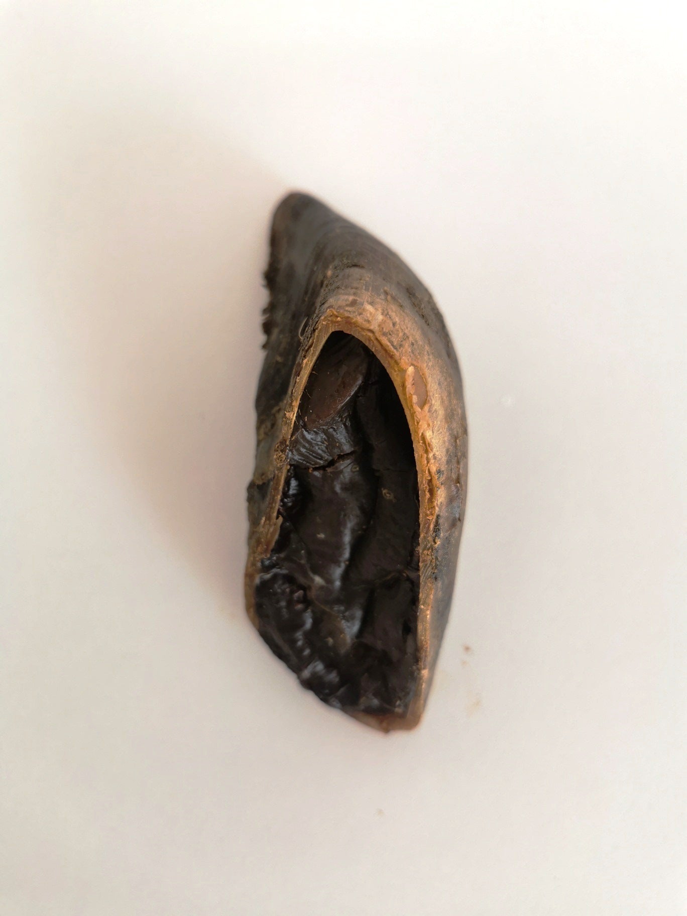 Liver Stuffed Hooves
