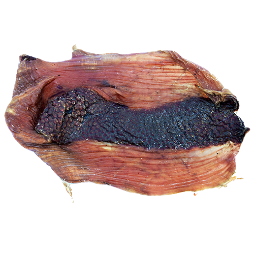Stone Stomach