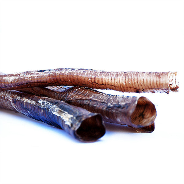 Windpipe Packs